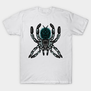 Tarantula Pixel Art 5 T-Shirt